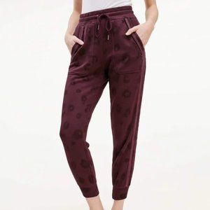 NWT Splendid - Corinna Jogger Pant in Black Cherry Leopard, Size S